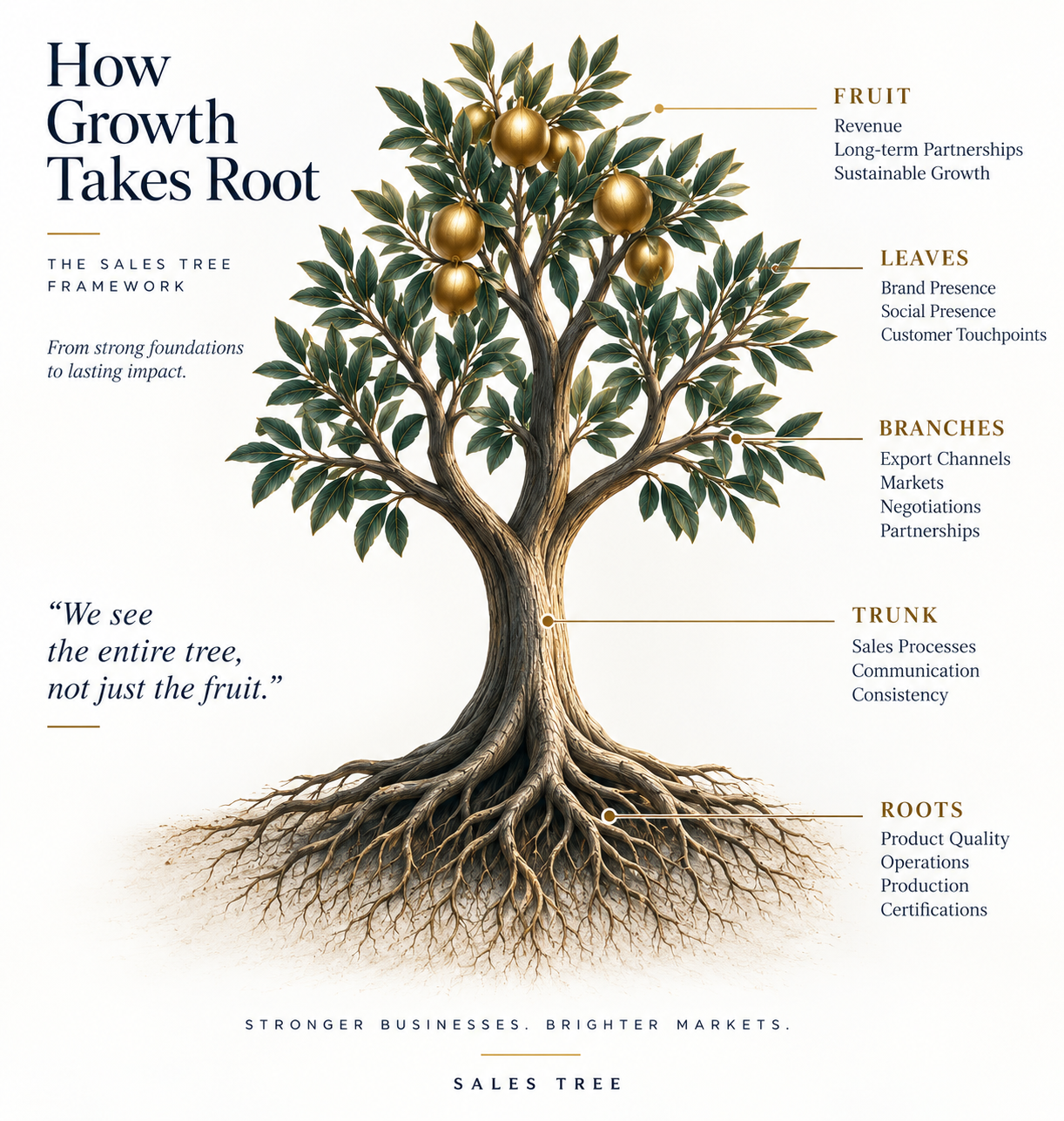 Sales Tree growth framework: roots, trunk, branches, leaves and fruit